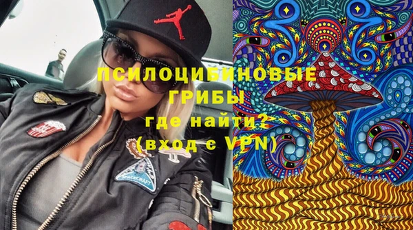 mdpv Магас