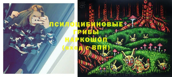 mdpv Магас