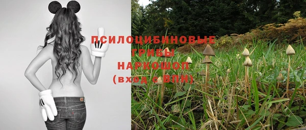 ешки Майский