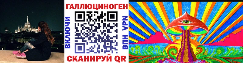 Купить  Верея  Псилоцибиновые грибы Cubensis 